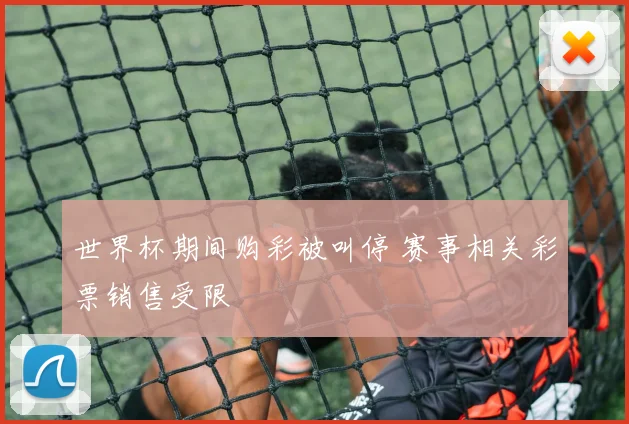 世界杯期间购彩被叫停 赛事相关彩票销售受限