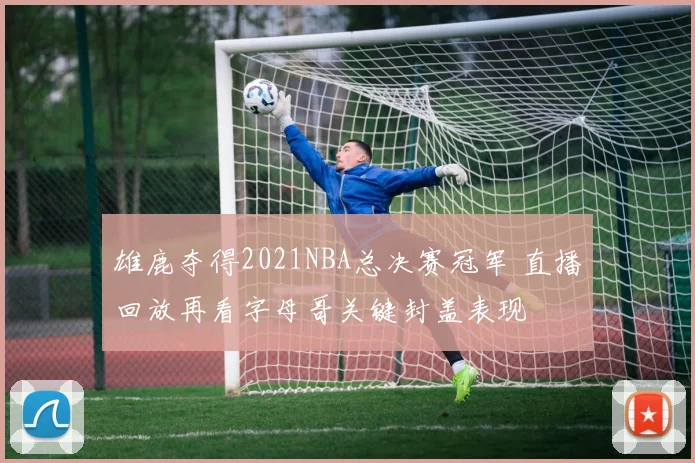 雄鹿夺得2021NBA总决赛冠军 直播回放再看字母哥关键封盖表现