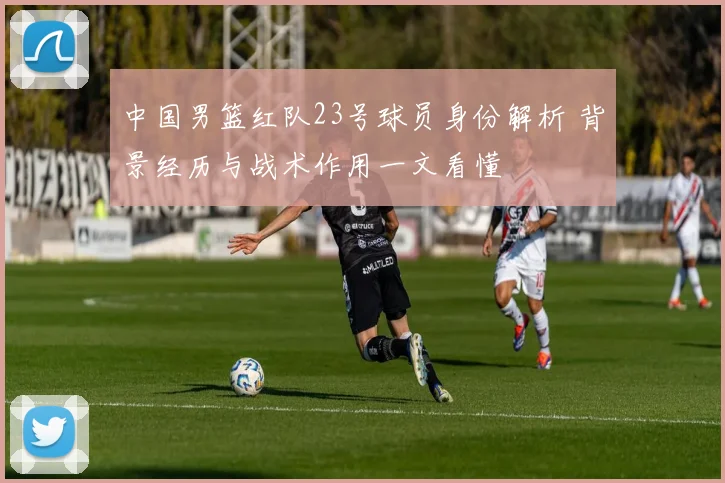 中国男篮红队23号球员身份解析 背景经历与战术作用一文看懂