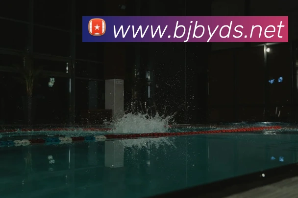 安博站官网登录入口APP 封面图